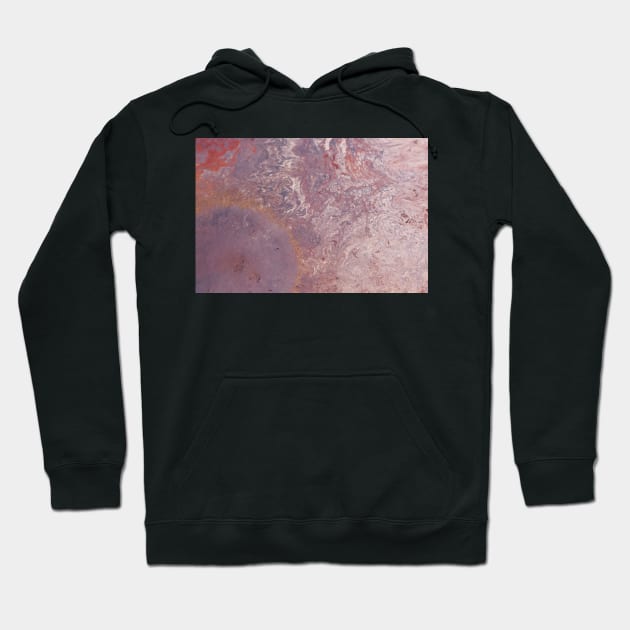 Radiant Rose Hoodie by aestheticand